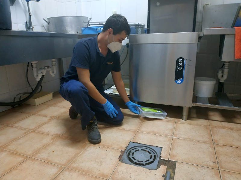 Técnico de control de plagas instalando una trampa de monitoreo de cucarachas en un bar Técnico de control de plagas instalando una trampa de monitoreo de cucarachas en un bar
