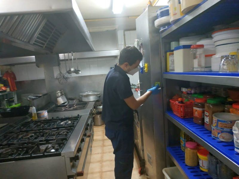 Empresa de control de plagas en Benidorm. Servicio de Desinsectación Empresa de control de plagas en Benidorm. Servicio de Desinsectación