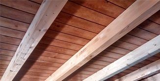 Tratamientos plagas de la madera Tratamiento para eliminar termitas en madera