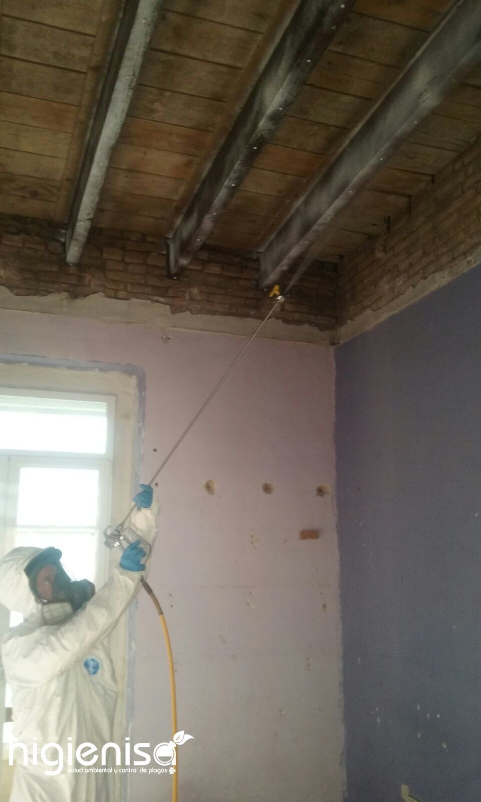 Tratamientos profesionales para eliminar las carcomas Tratamientos profesionales para eliminar las carcomas