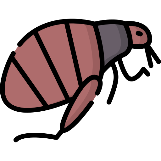 pulga pulga