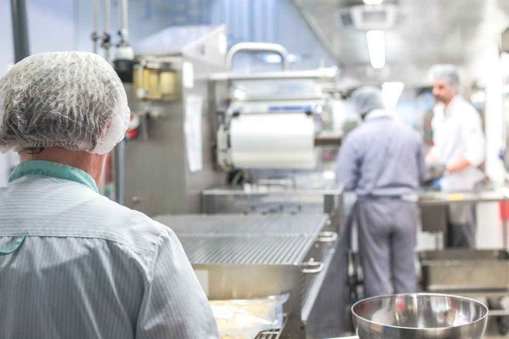 desinfección de la legionella tratamientos de prevención y control de la legionella en alicante