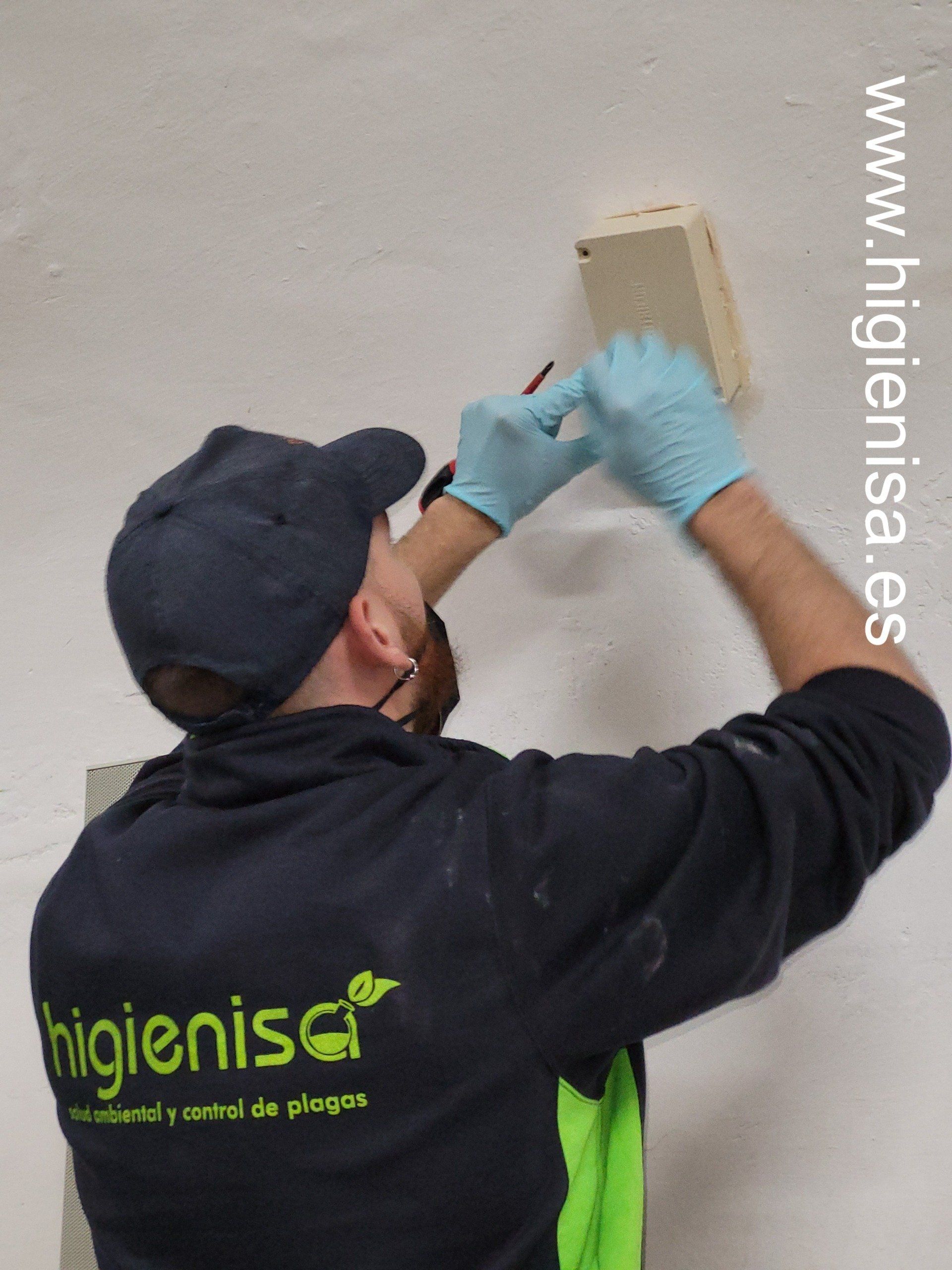 Servicios de control de termitas en Valencia Servicios de control de termitas en Valencia