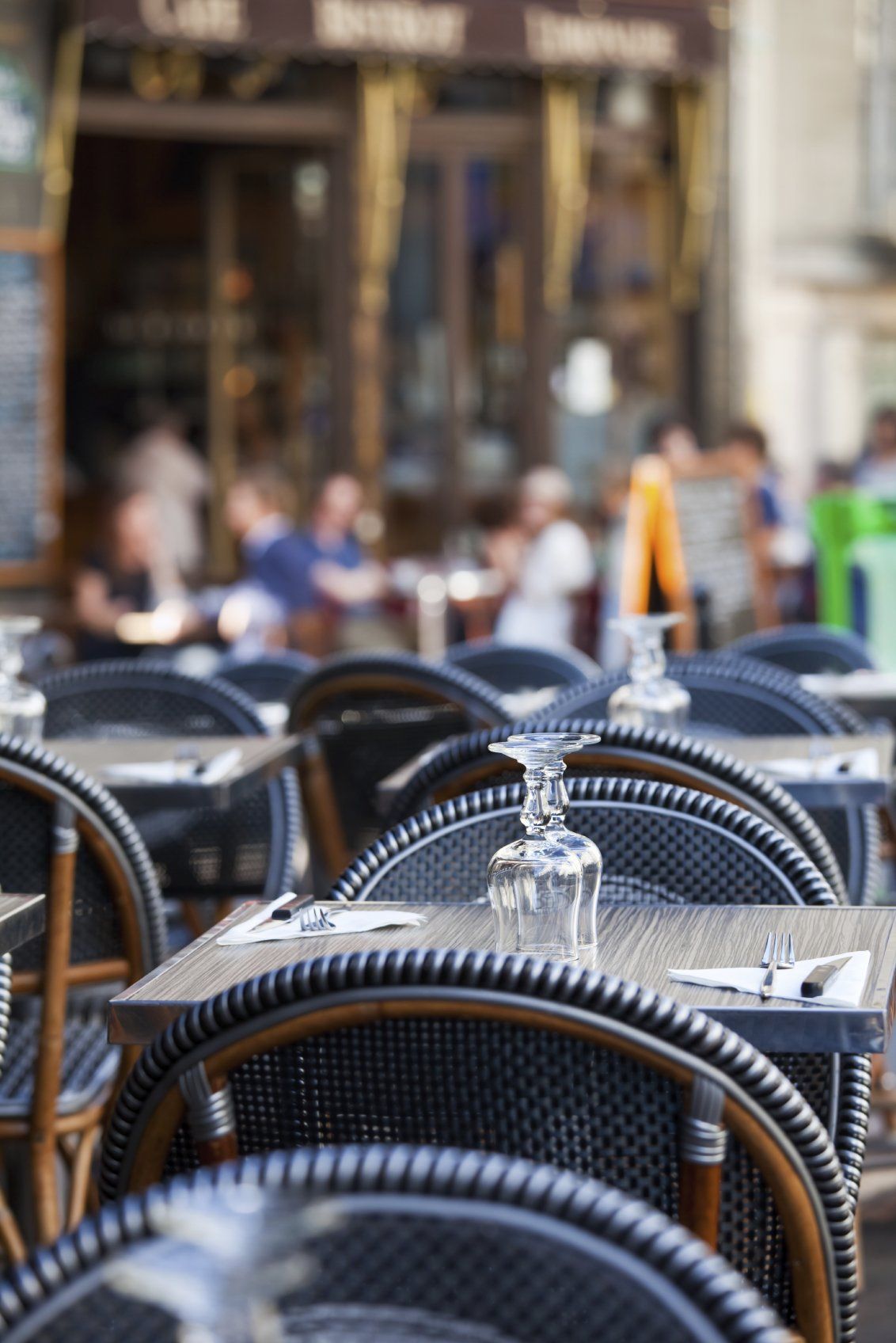 Servicios de control de plagas en Bar de Elche Servicios de control de plagas en Bar de Elche