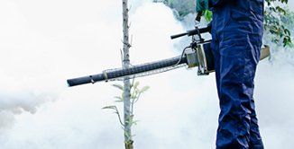 servicio de fumigación fumigaciones en Alicante, Valencia y Murcia