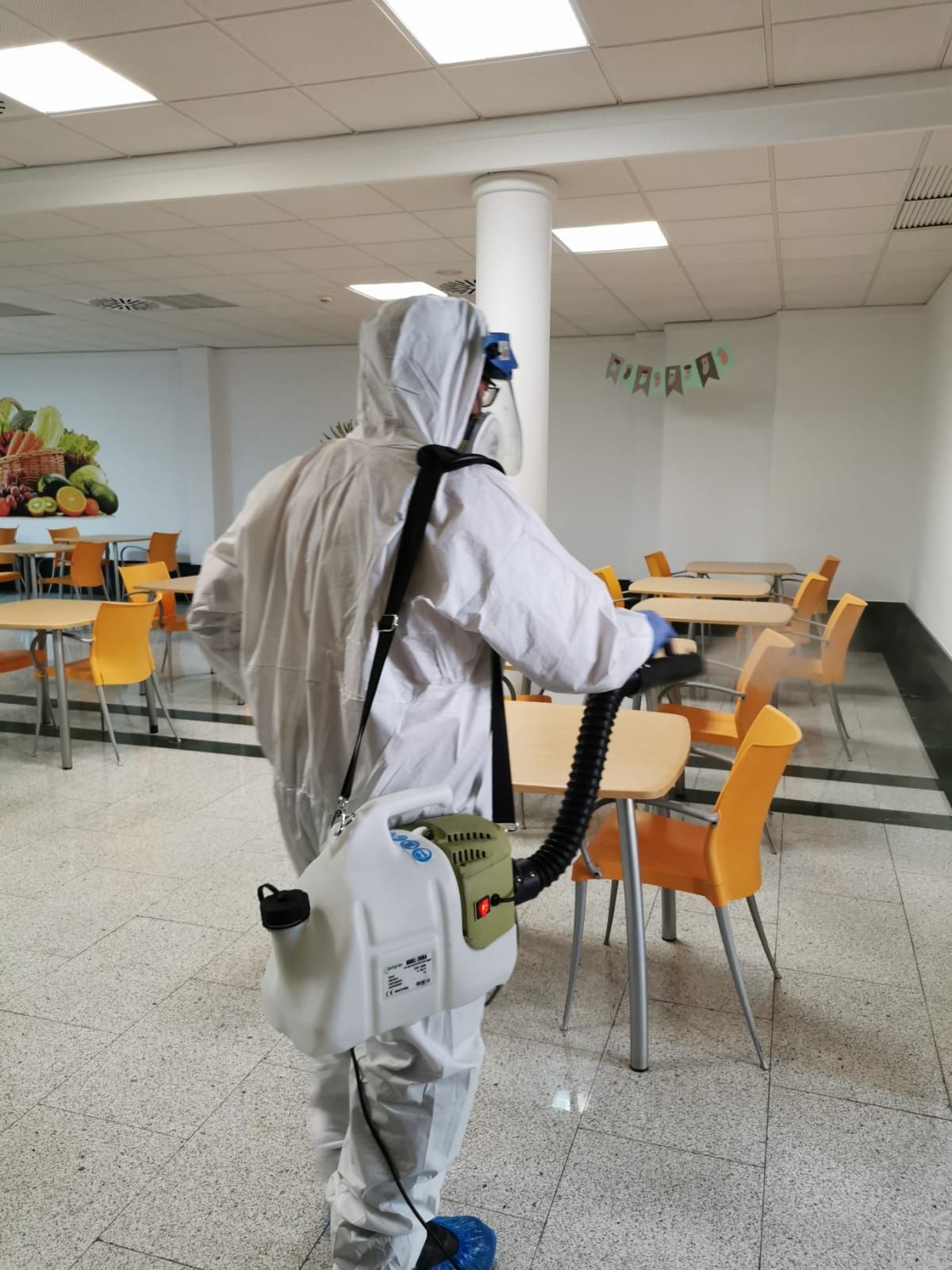 Técnico de control de plagas en Elche Técnico de control de plagas en Elche