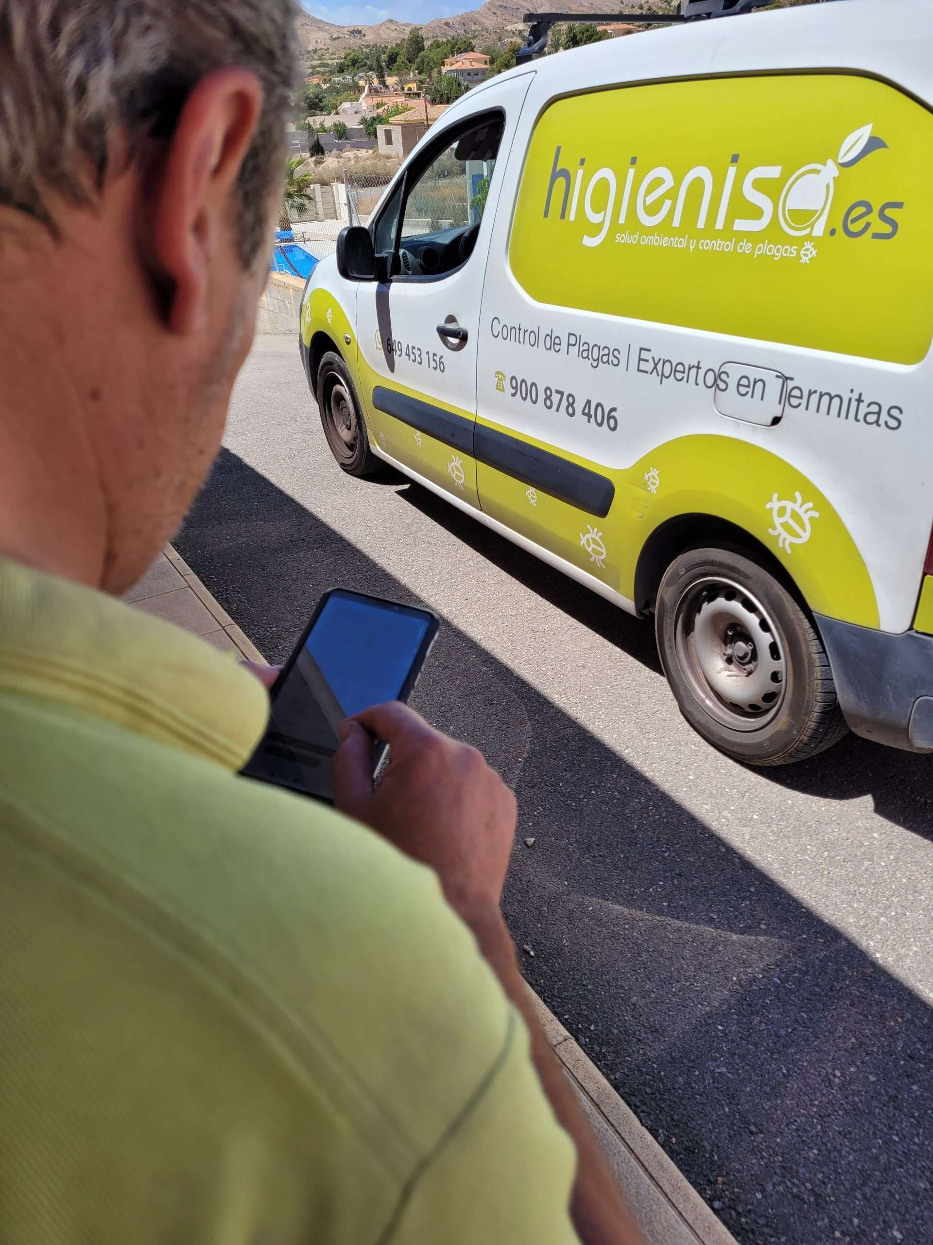 Seguimiento del tratamiento de termitas en Valencia Seguimiento del tratamiento de termitas en Valencia