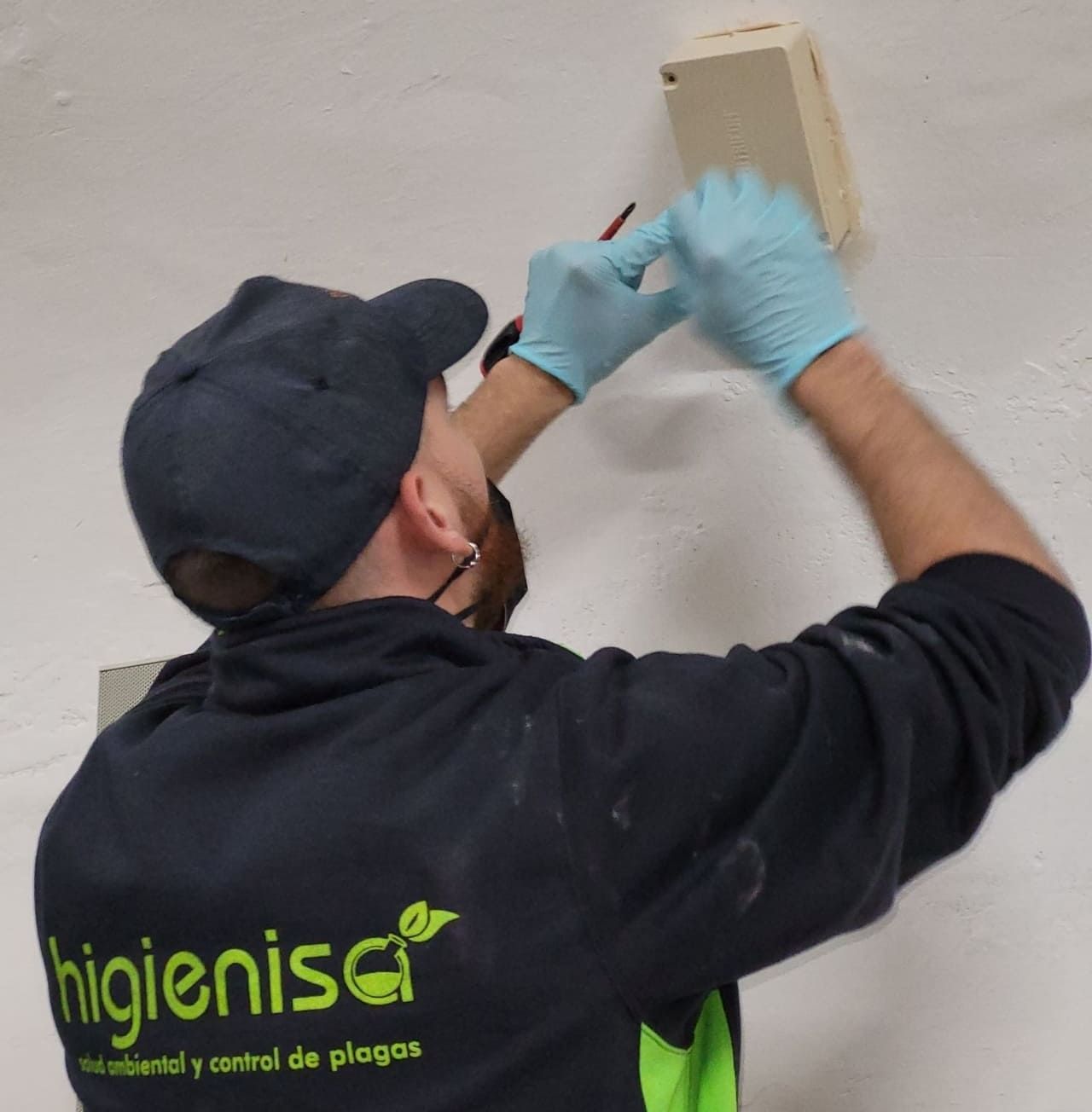 Técnico instalando estación de cebo para eliminar termitas en Murcia Técnico instalando estación de cebo para eliminar termitas en Murcia
