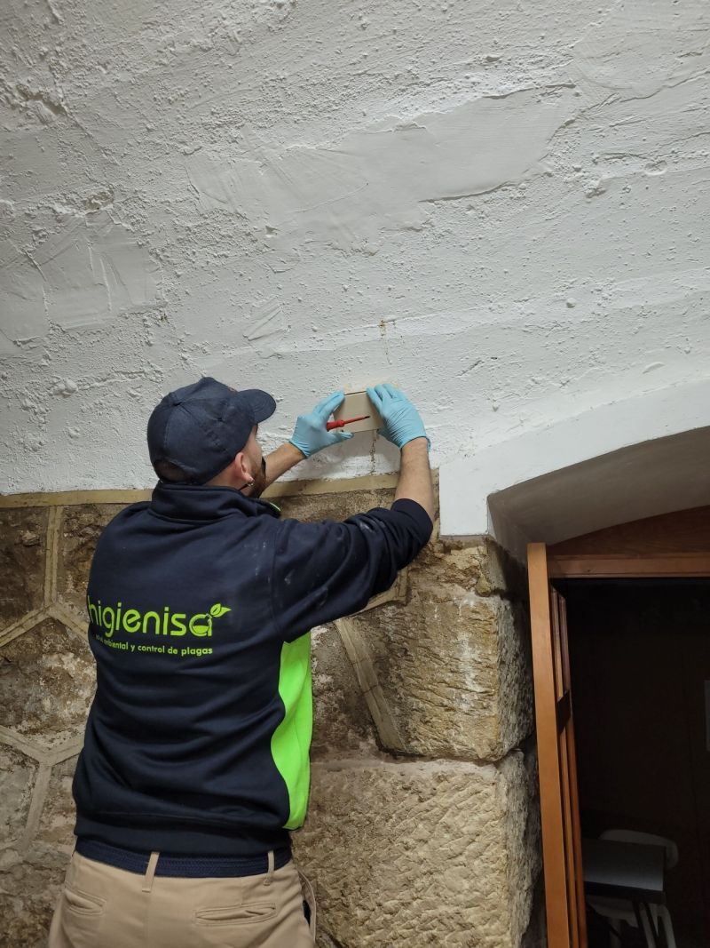 Técnico instalando una estación con cebo para la eliminación de colonias de termitas subterráneas Técnico instalando una estación con cebo para la eliminación de colonias de termitas subterráneas