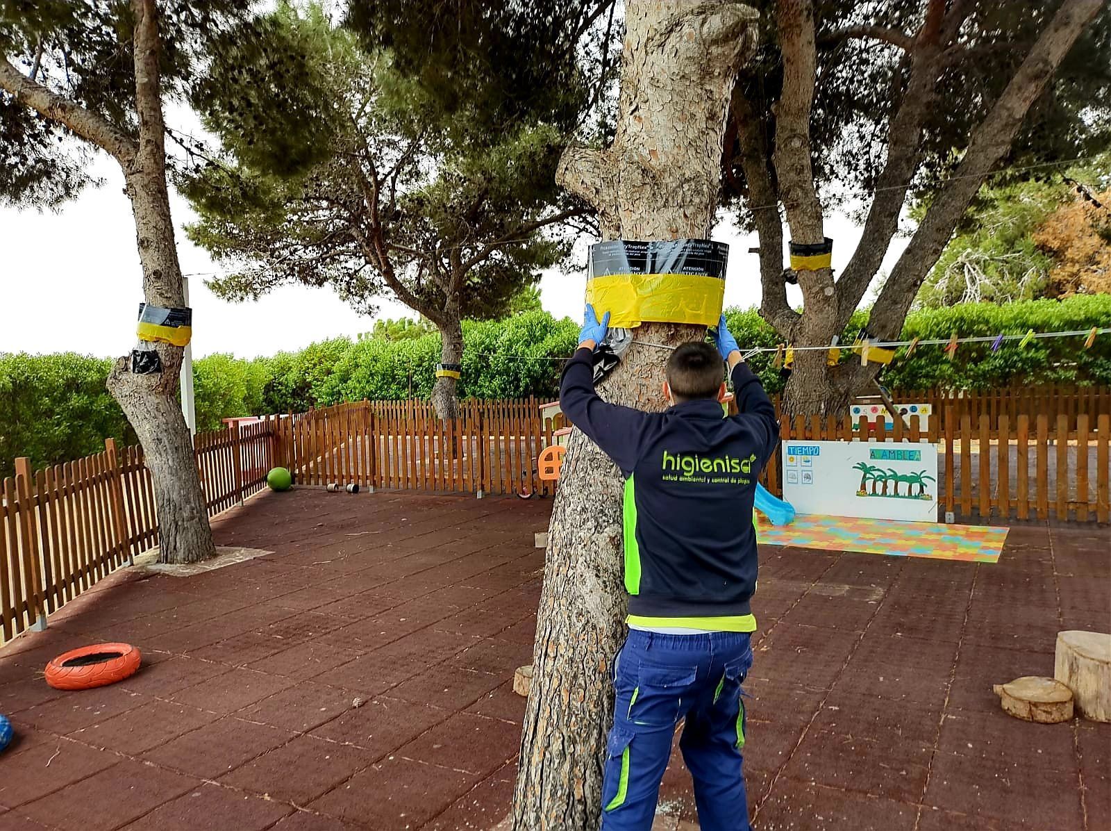 Técnico de Higienisa instalando trampas ecológicas para captura de procesionaria del pino Técnico de Higienisa instalando trampas ecológicas para captura de procesionaria del pino