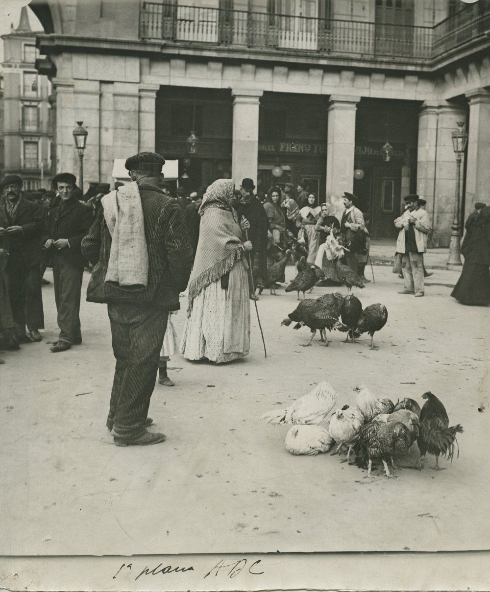 Vendedores de pavos reunidos en la Plaza Mayor (1909)