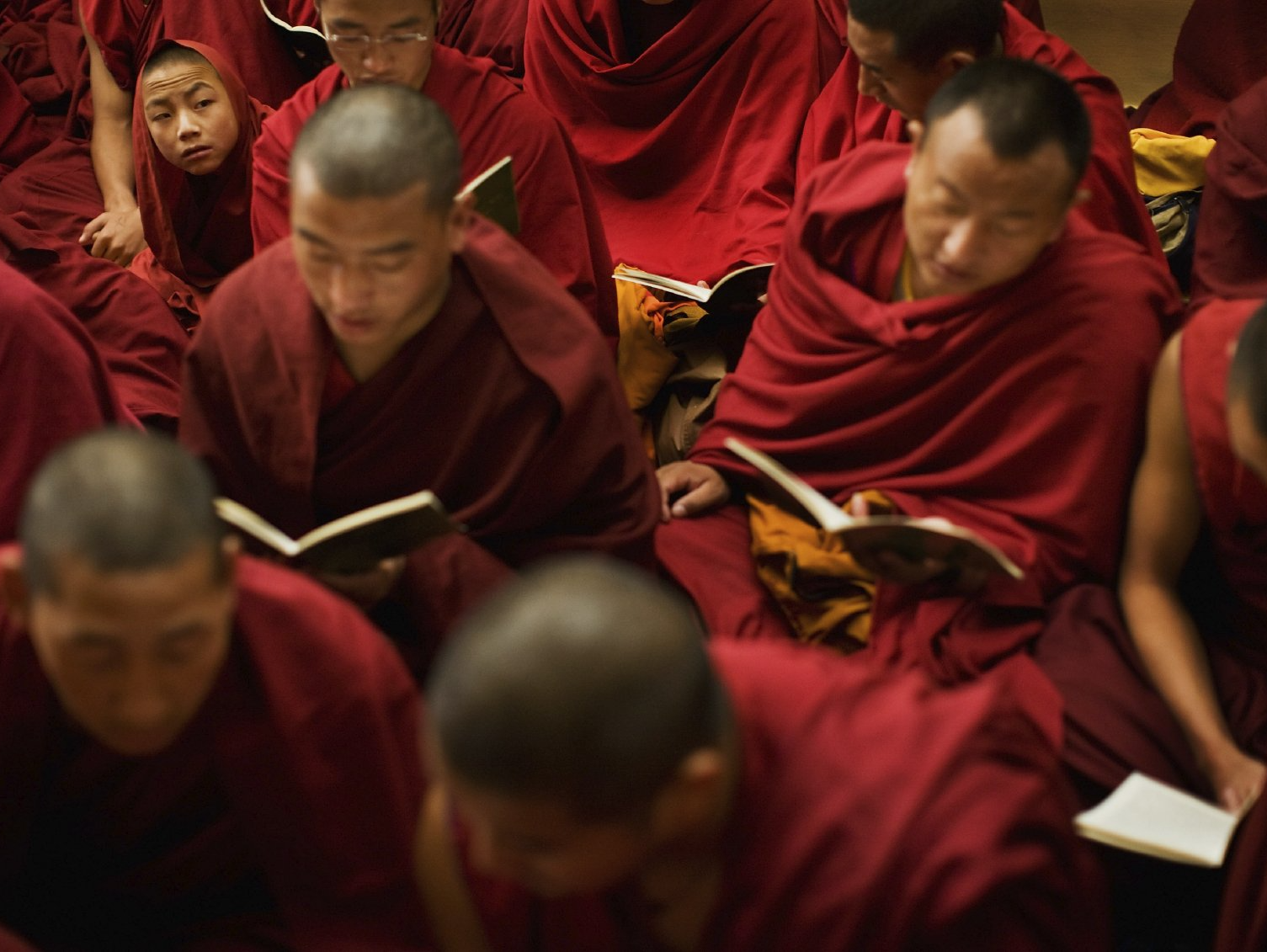Buddhistische Mönche mit roten Gewändern, die in einem Buch lesen