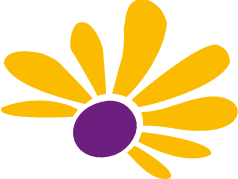 Favicon zum Reikihaus Sonnenblume Logo