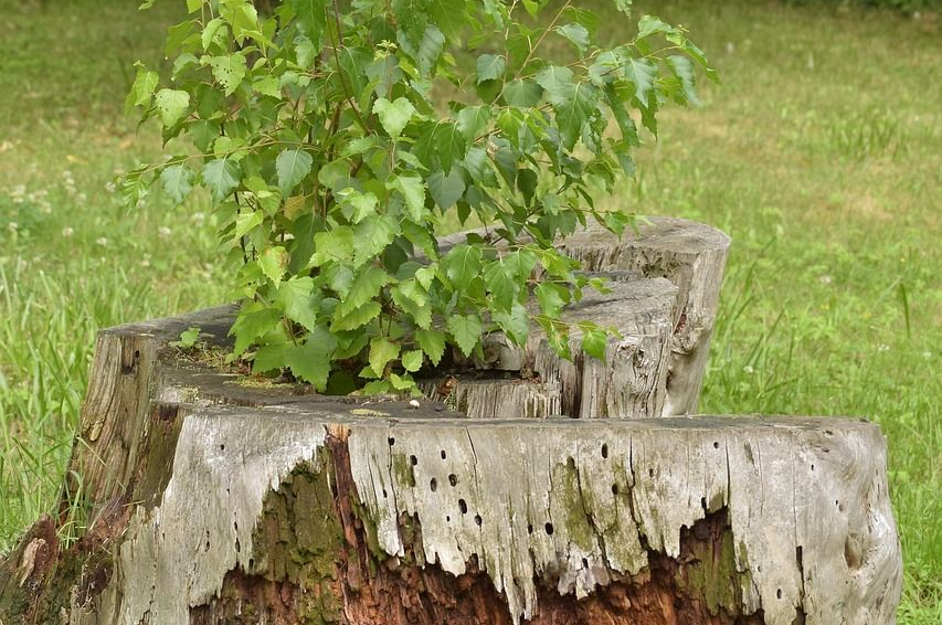 Eine Frau liegt auf einer Massageliege und es stehen Klangschalen auf ihrem Körper