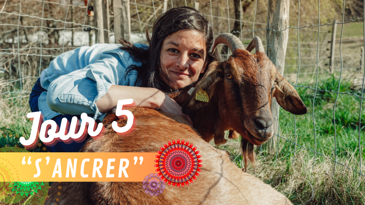 programme yoga du matin jour 5