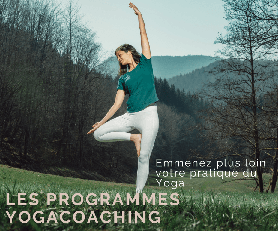 programme yoga yogacoaching