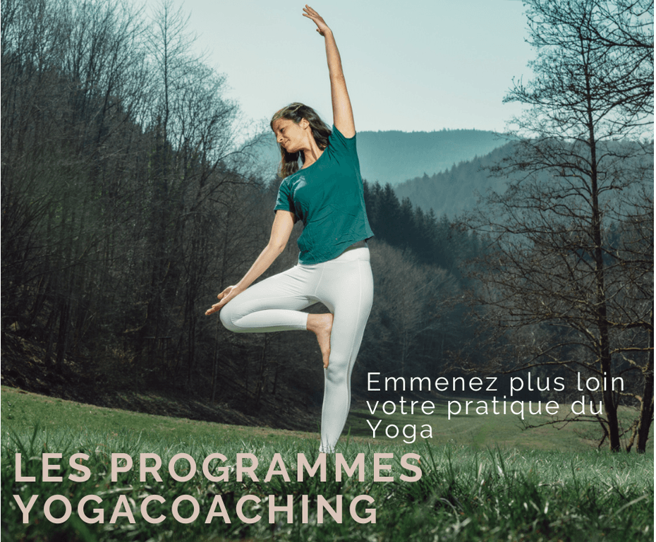 programme payant yogacoaching programme yoga yogacoaching