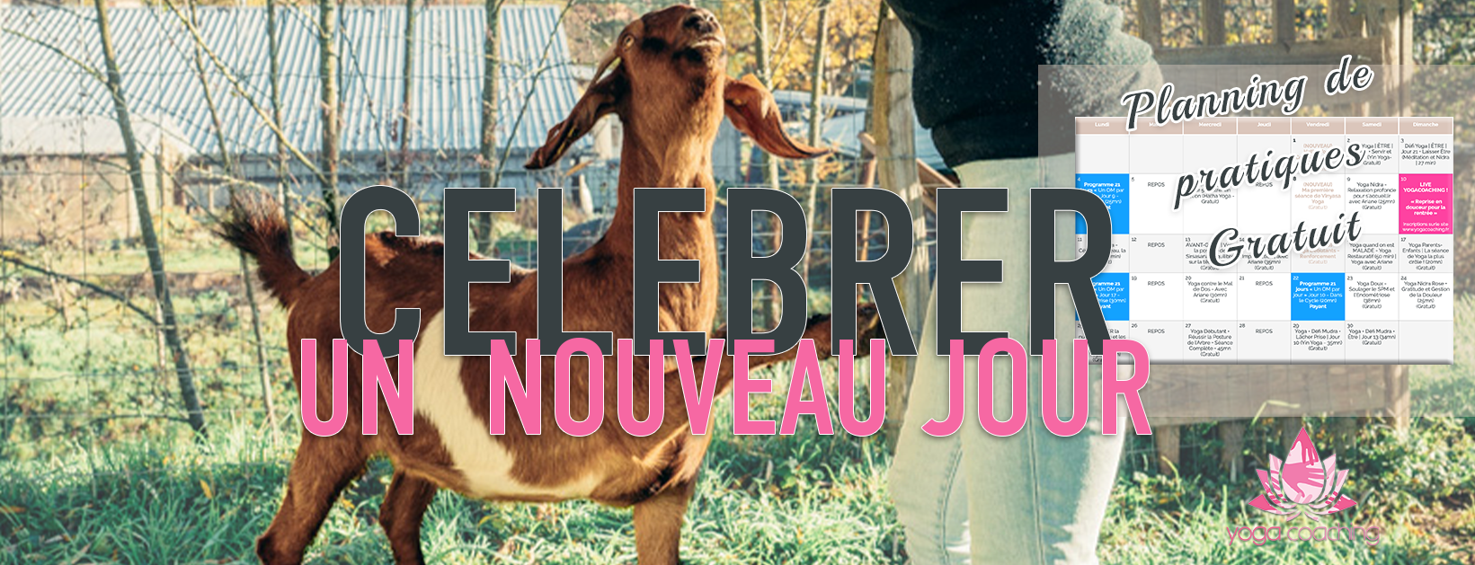 planning pratique yoga novembre