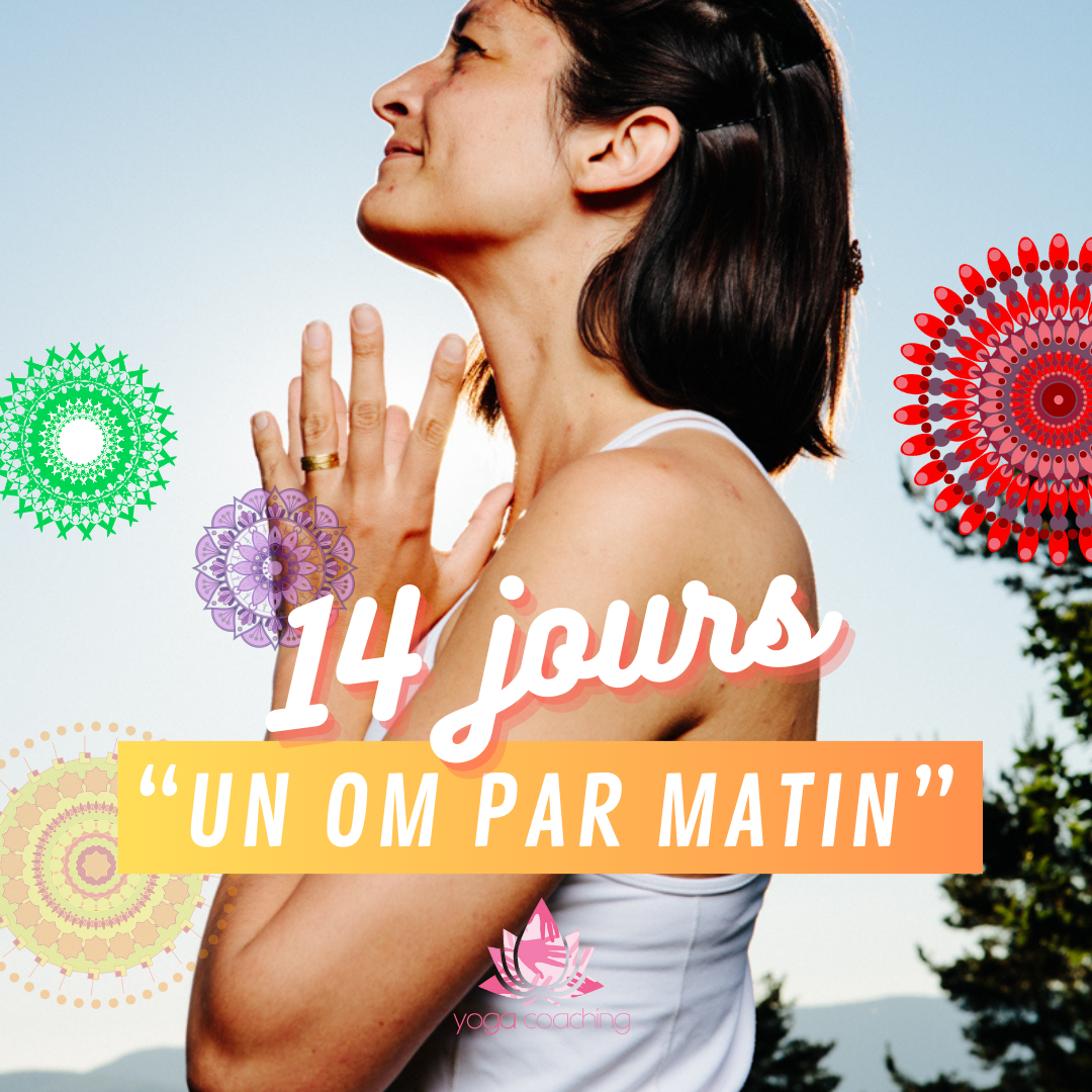 yoga matin programme