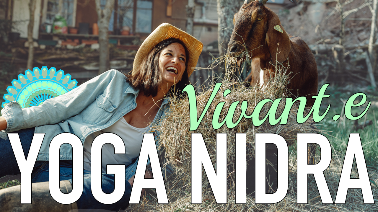 yoga nidra vivant yoga nidra vivant