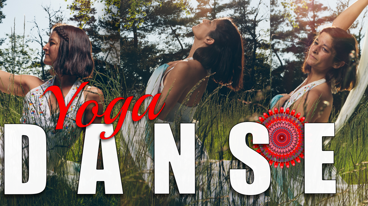 vinyasa yoga danser shakti vinyasa yoga danser shakti