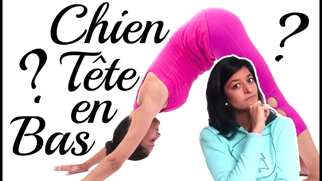 yoga debutant chien tete en bas