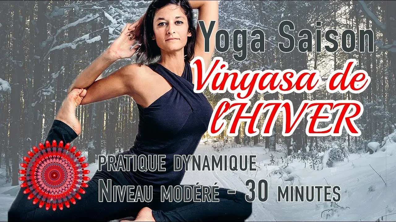 vinyasa yoga special hiver vinyasa yoga special hiver