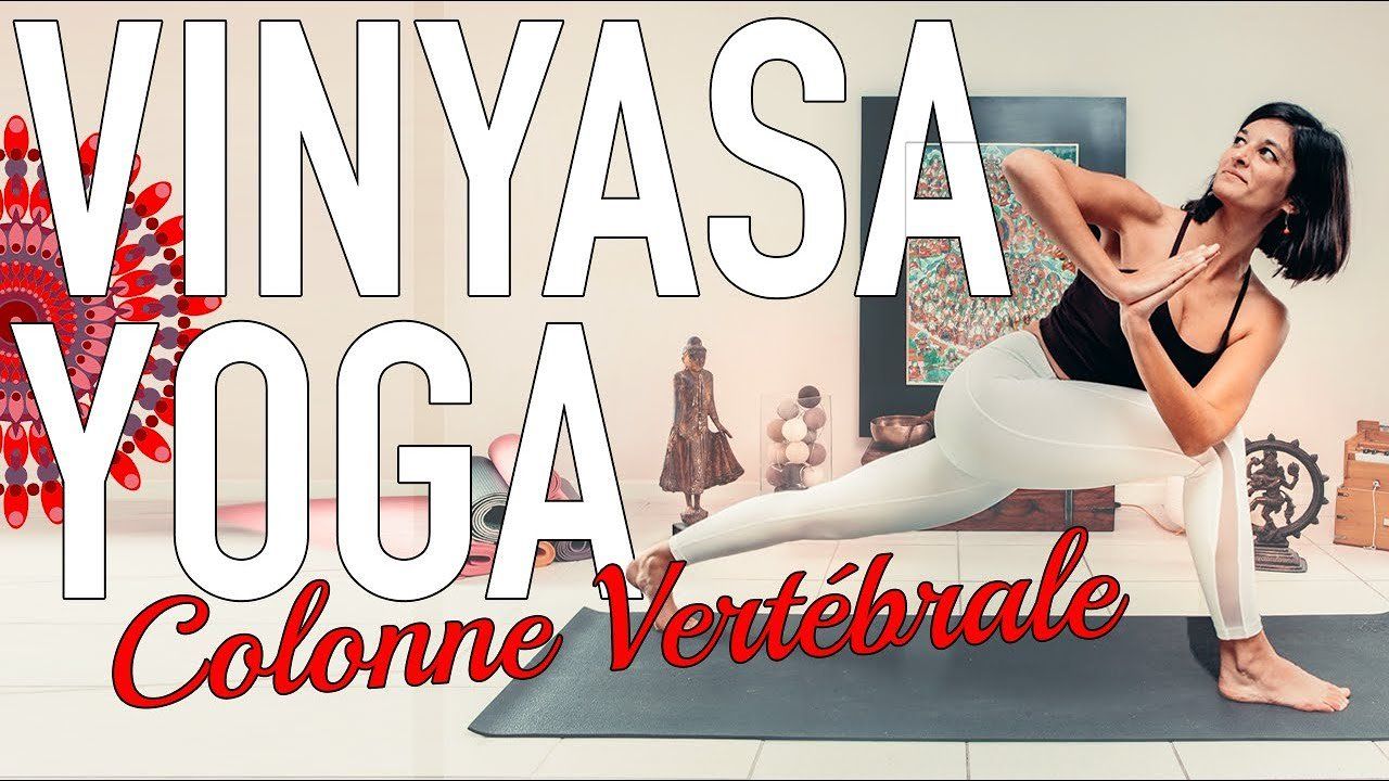 vinyasa yoga danser shakti vinyasa yoga danser shakti
