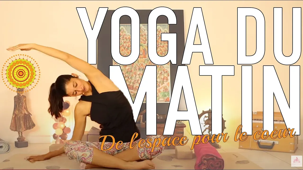 hatha yoga mobilité dos hatha yoga mobilité dos