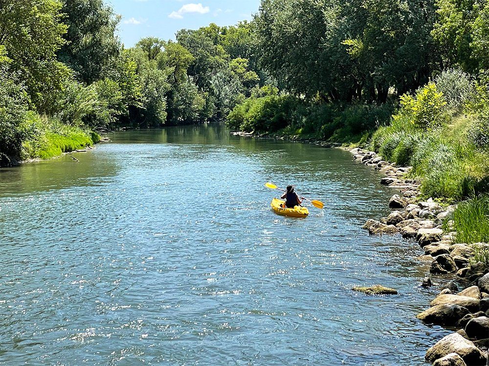 Location Sous le Pont d'Avignon