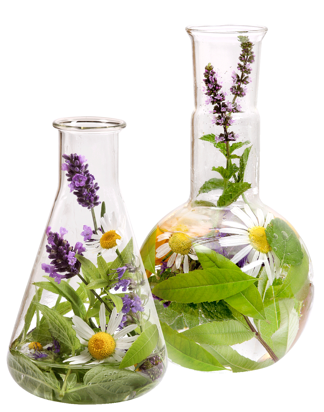 WIR SIND FÜR SIE DA: