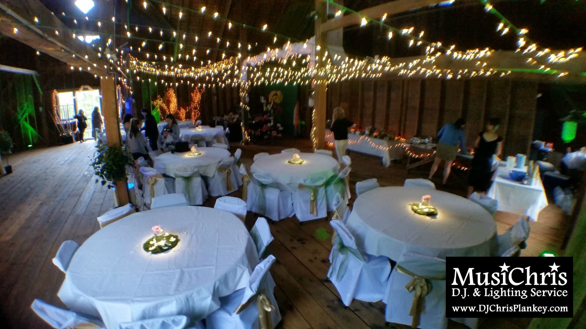 Enchanted Forest prom theme party ideas decorations lighting Lenox Memorial High School Prom 2017