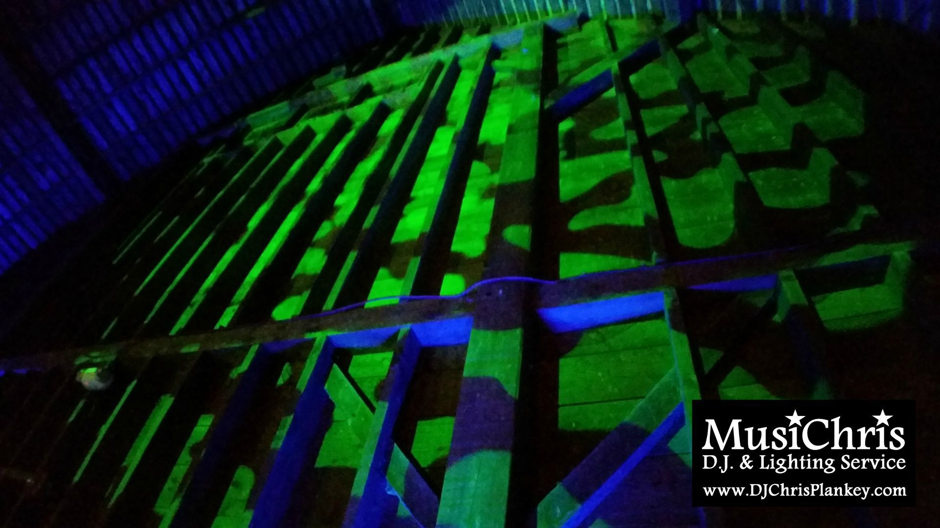 Enchanted Forest prom theme party ideas decorations lighting Lenox Memorial High School Prom 2017