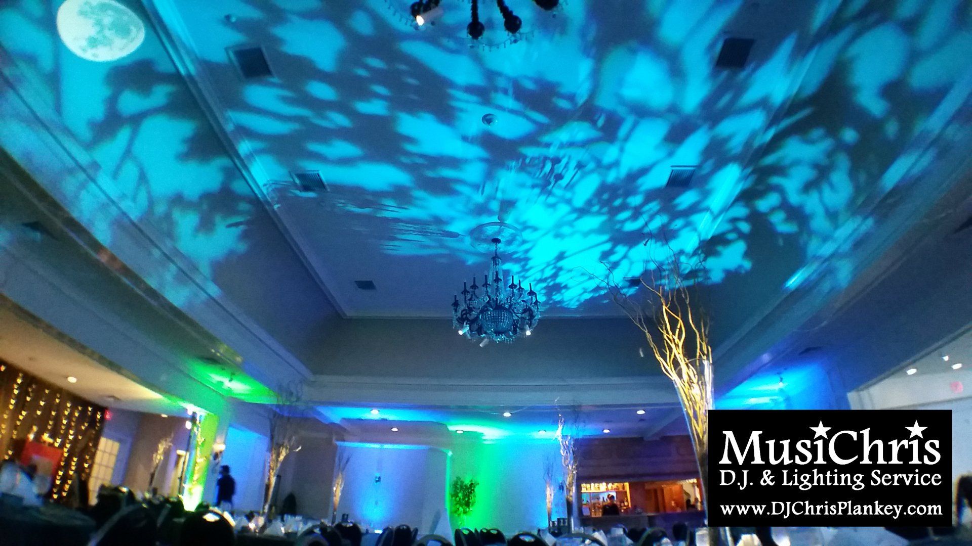 Enchanted Forest fundraising corporate gala party theme lighting ideas