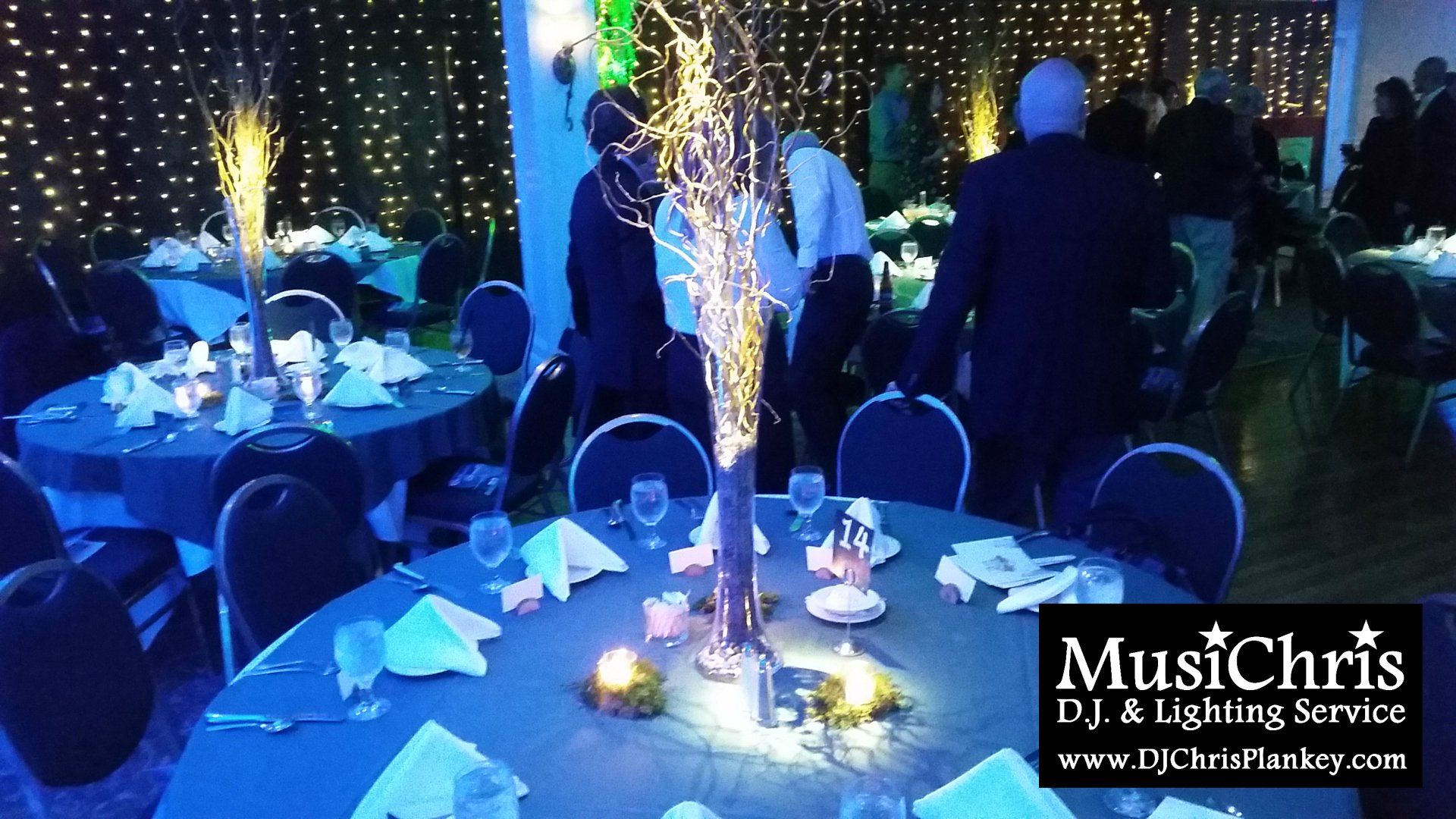 Enchanted Forest fundraising corporate gala party theme lighting ideas
