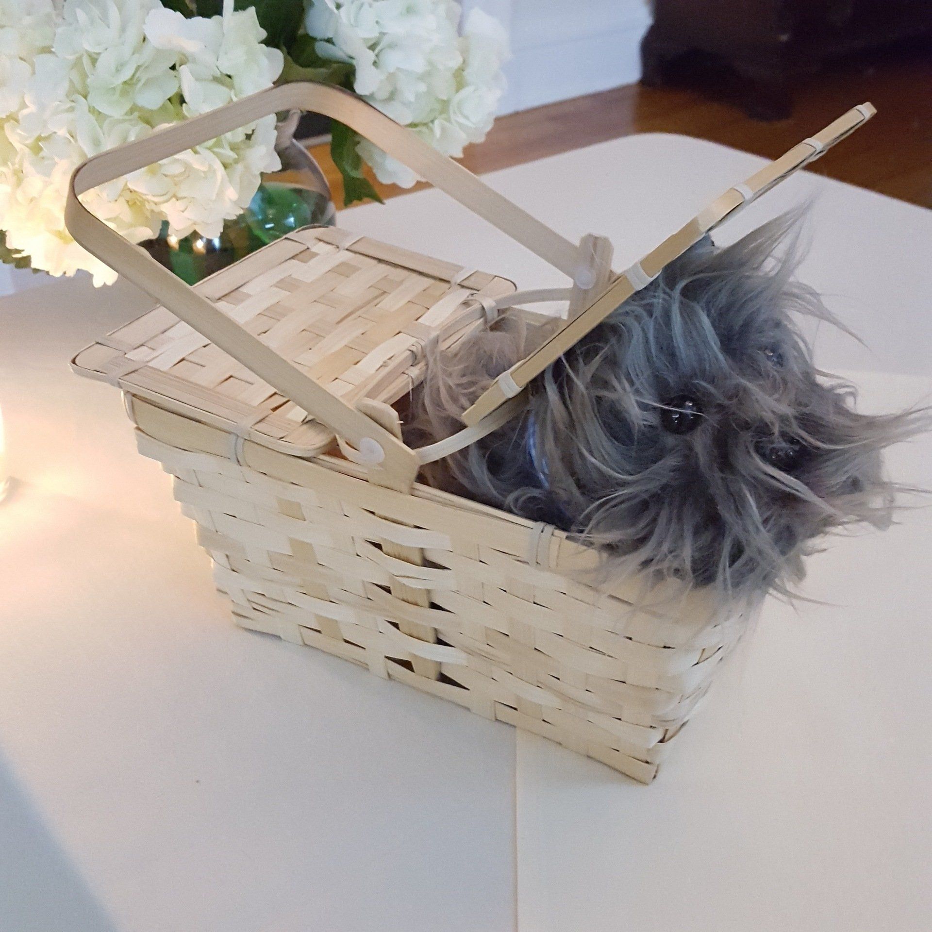 Emerald City Party Theme decorations lighting ideas