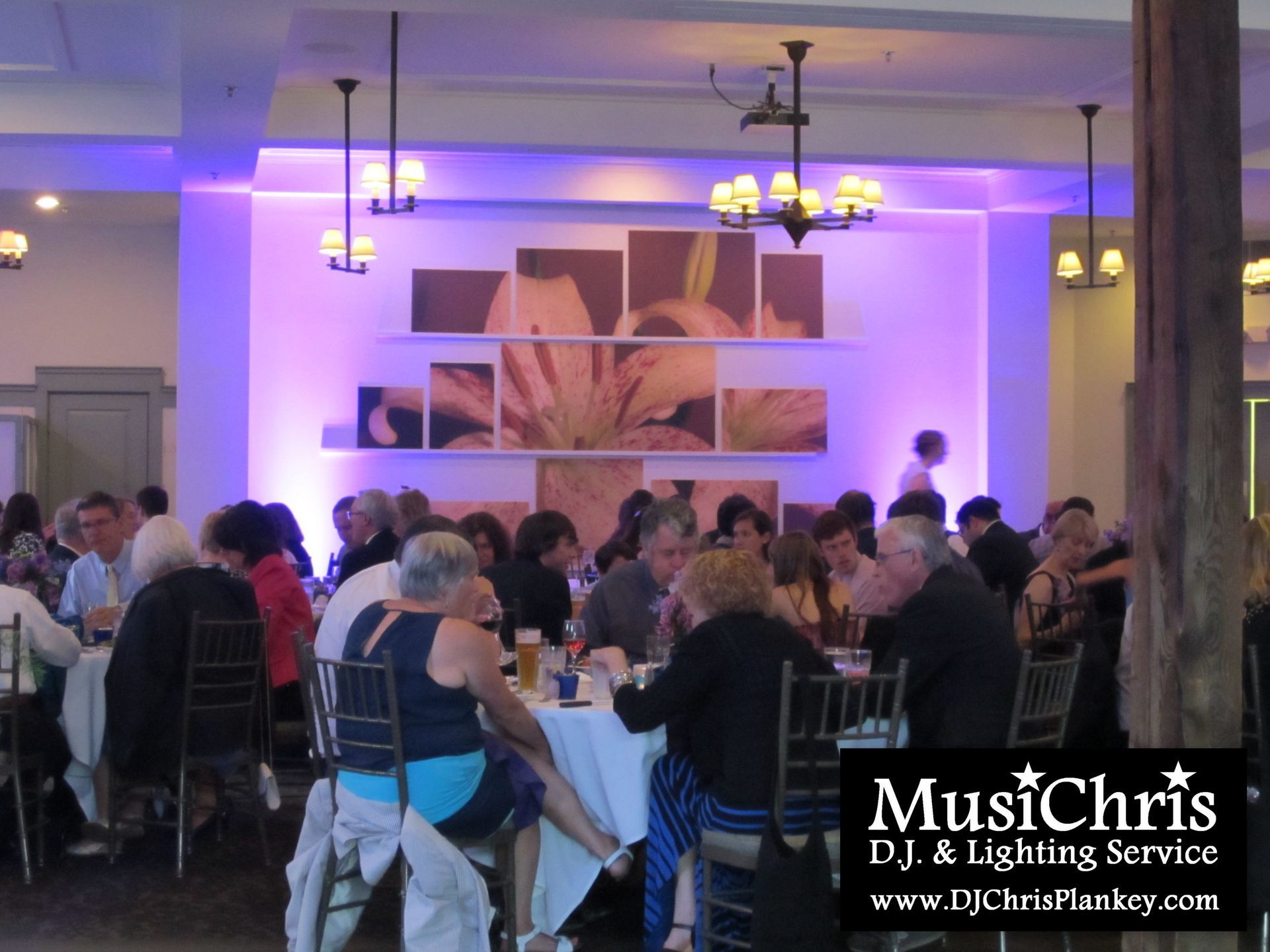 Barrington Hall, Great Barrington, MA wedding venue Crissey Farm wedding DJ lighting drapery