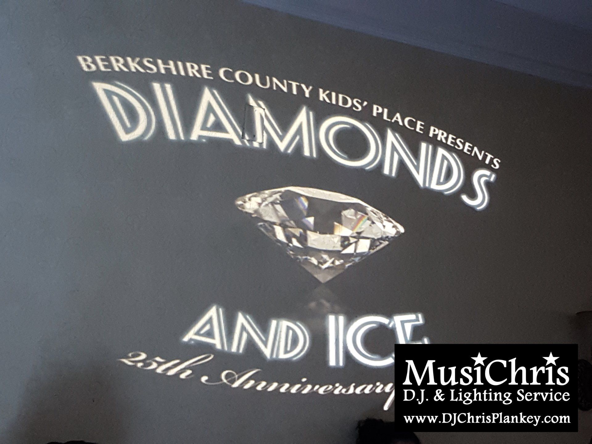 Diamonds and Ice Fundraising Gala