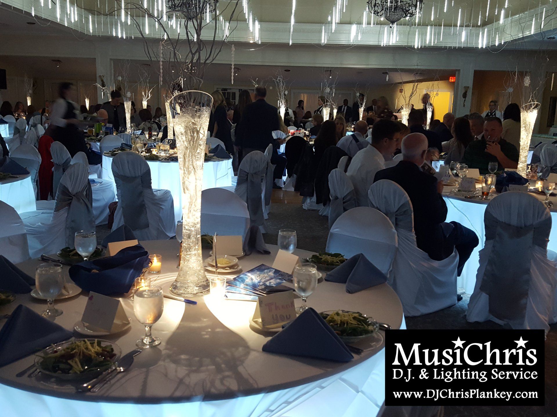 Diamonds and Ice Fundraising Gala