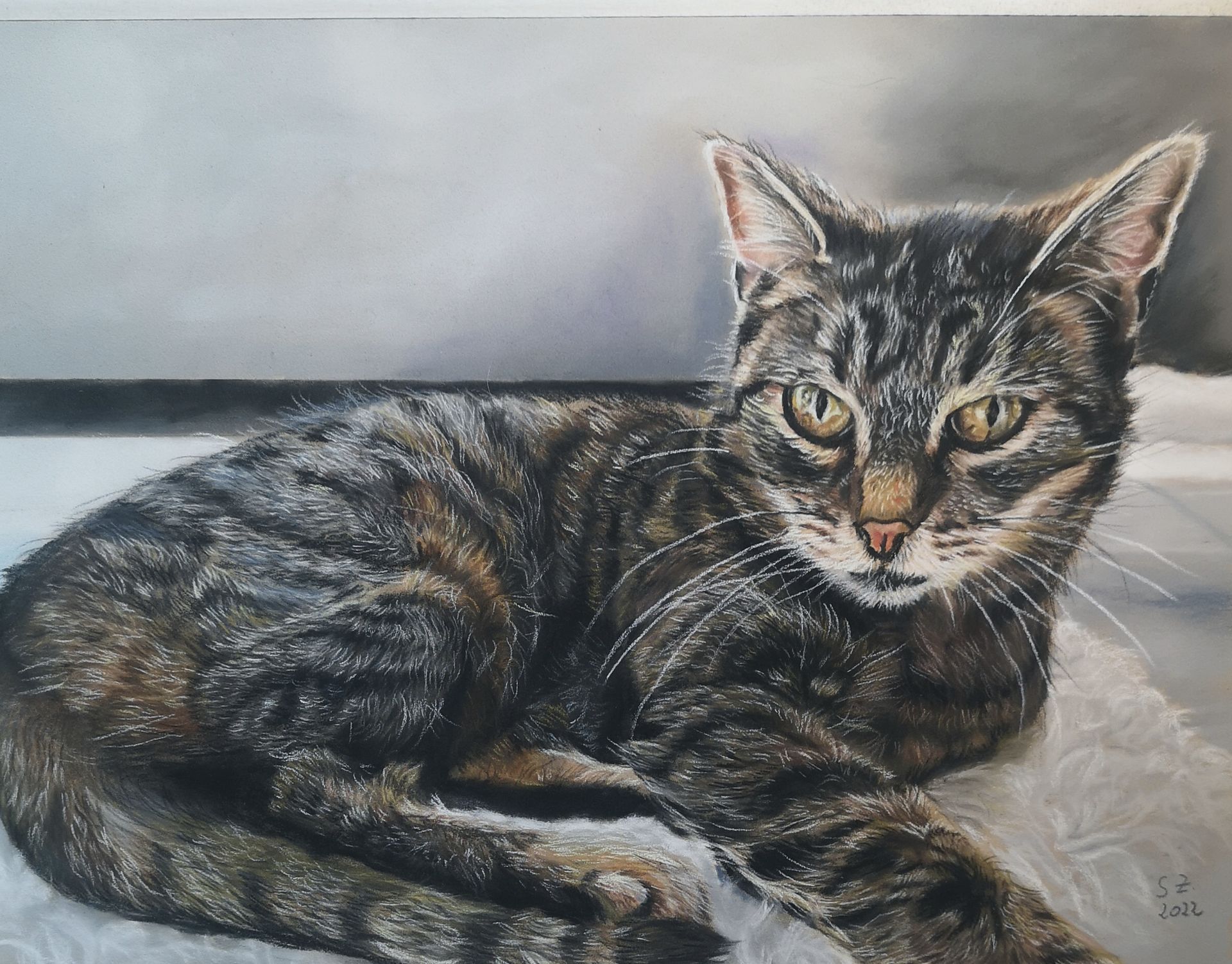 Tigerkatze Portrait Pastellkreide