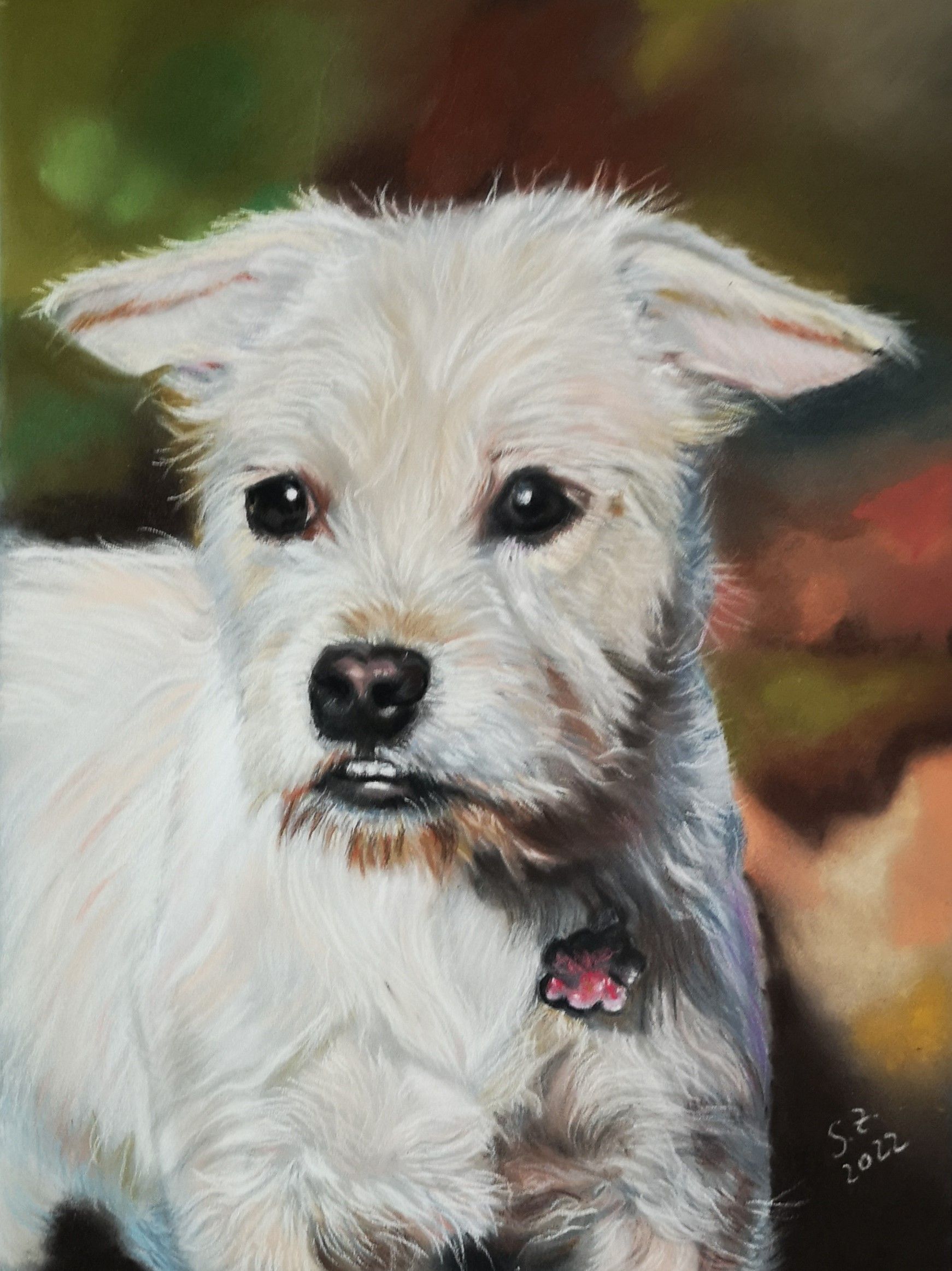 Tierportrait Pastellkreide Hund