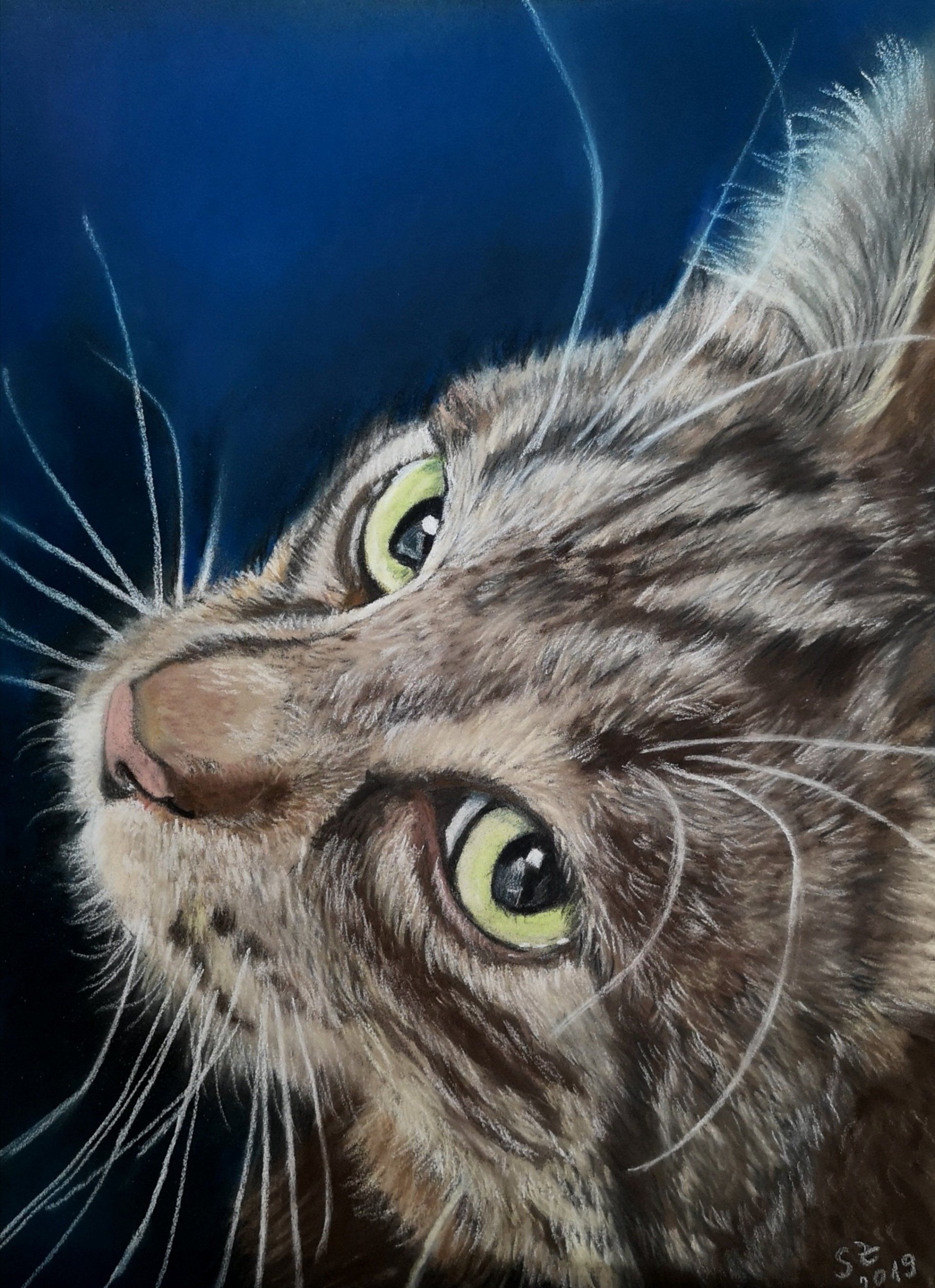 Tierportrait Pastellkreide