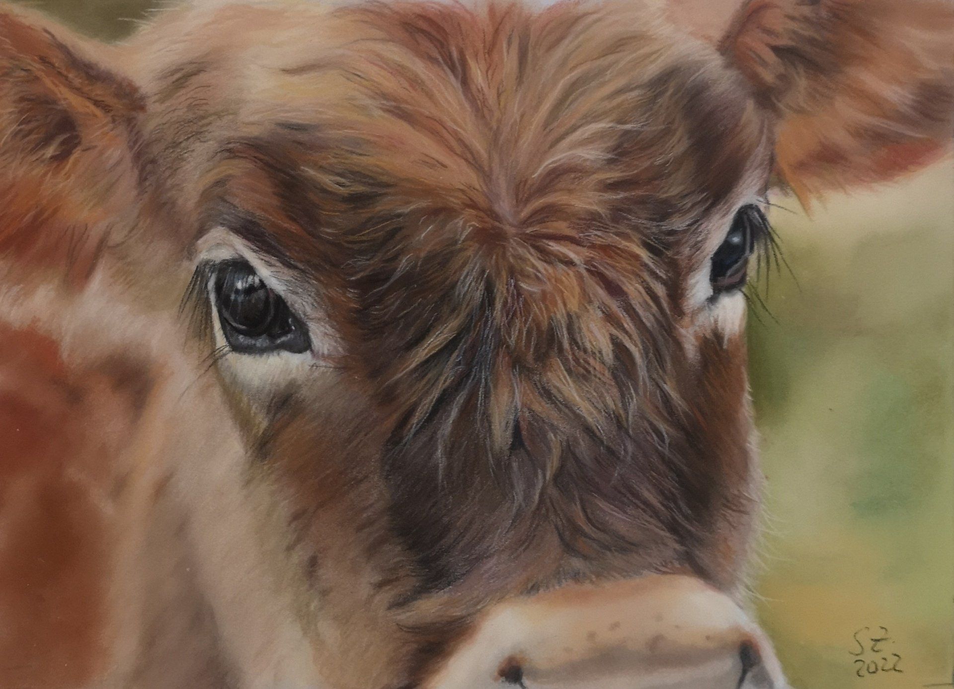 Kalb, Rind, Kälbchen, Pastellkreide