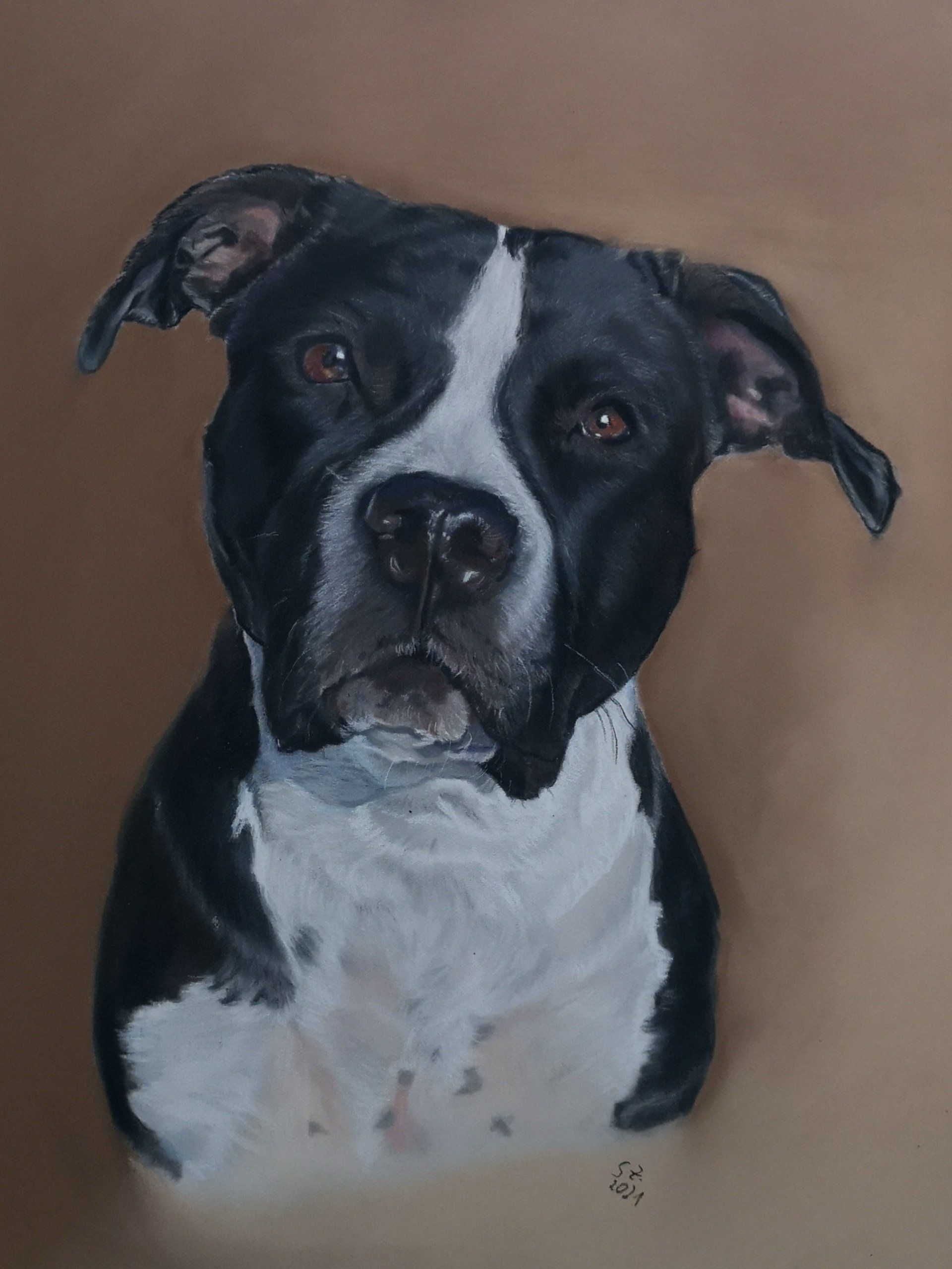 Hund gemalt Pastell