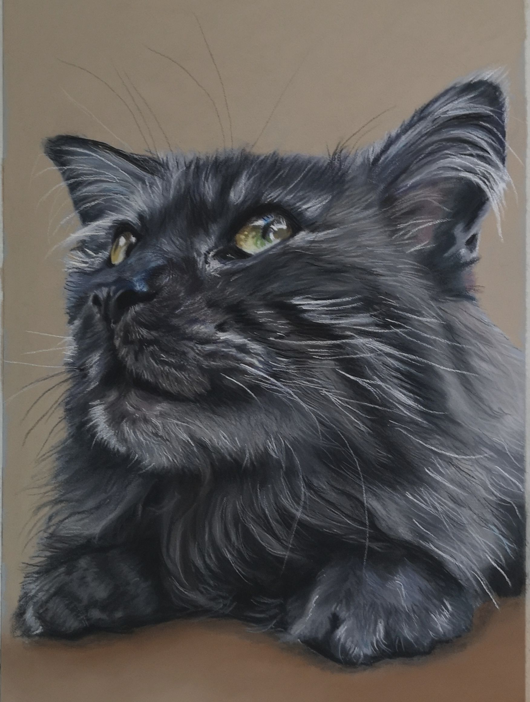 Tierportrait Pastellkreide Hund Katze