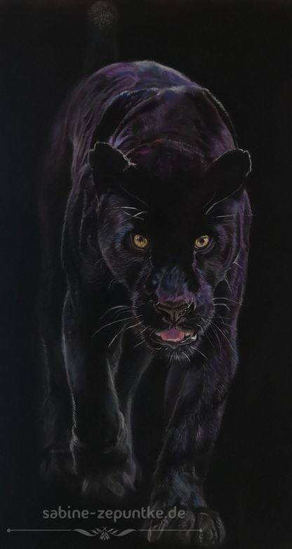 Panther in Pastellkreide