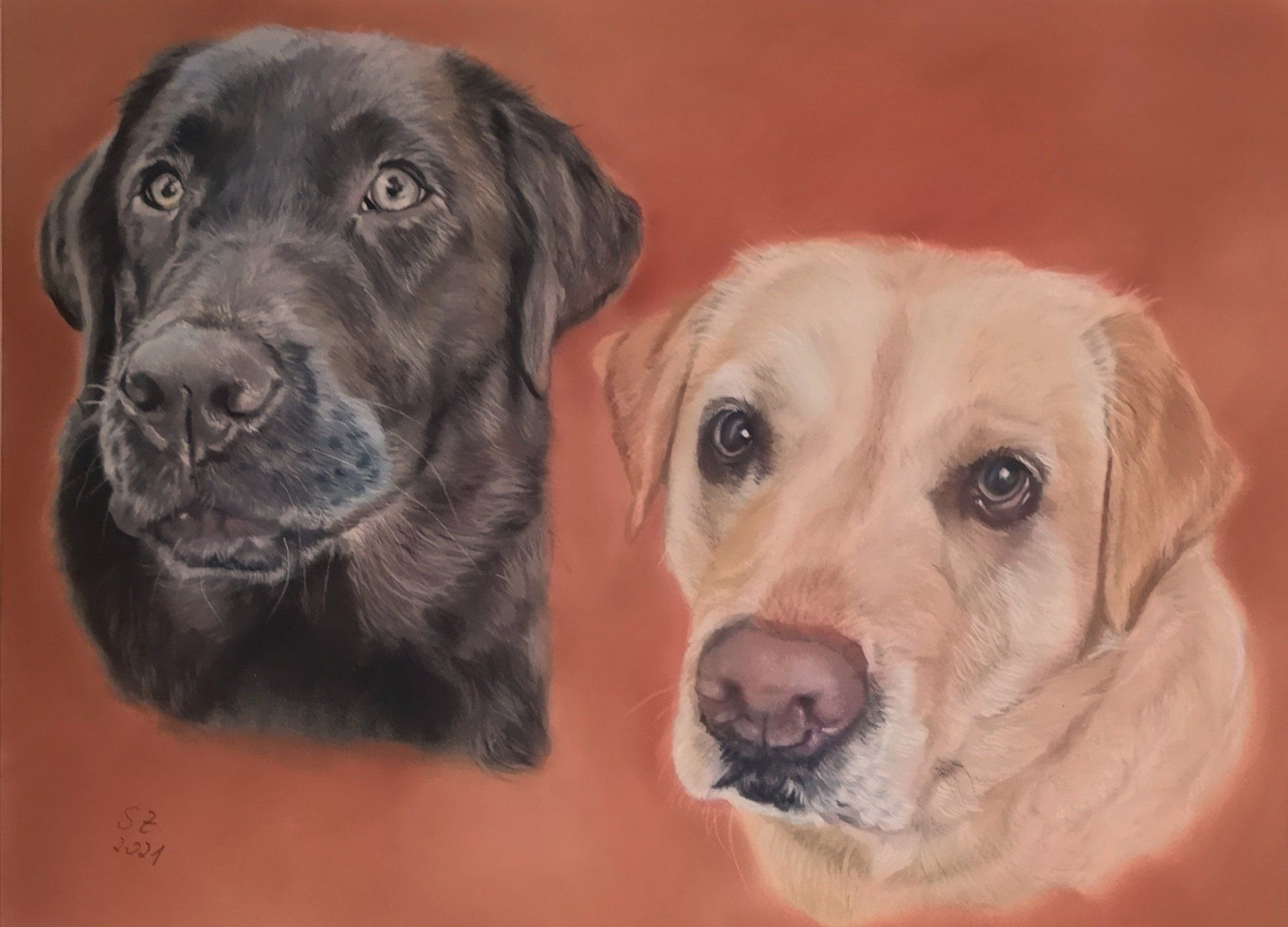 Labrador gemalt Pastell