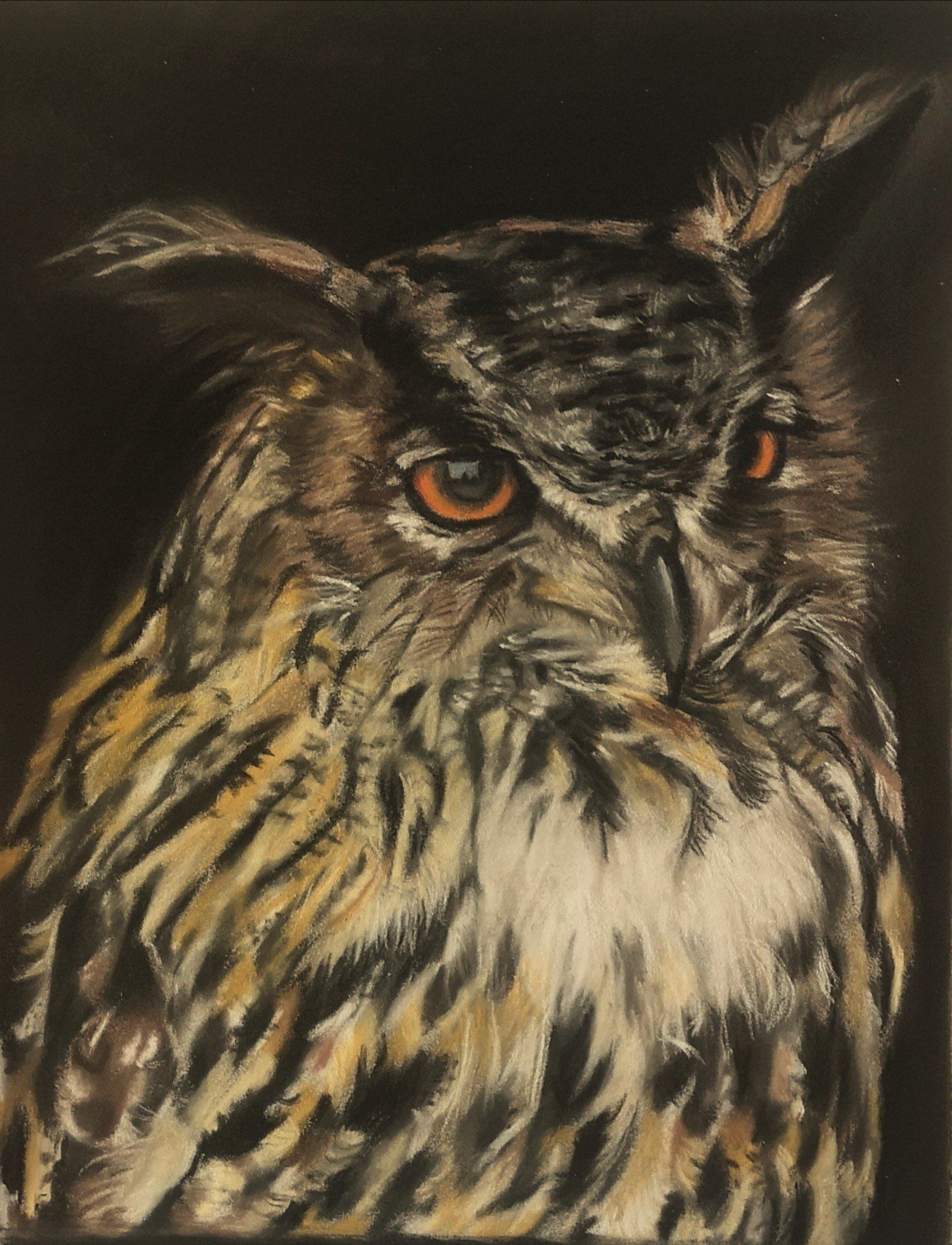 Uhu in Pastellkreide