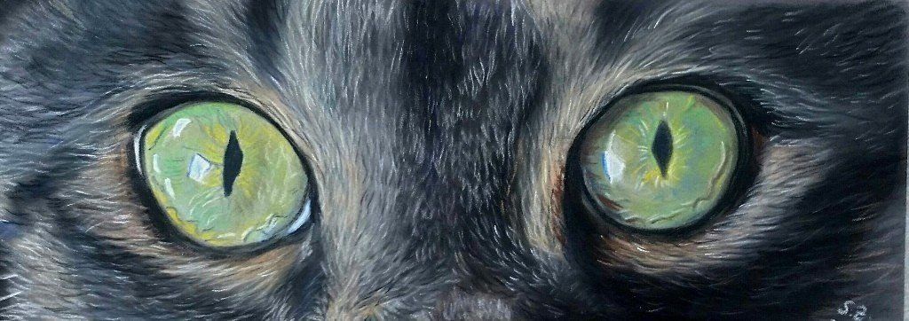 Katzenaugen Pastellkreide