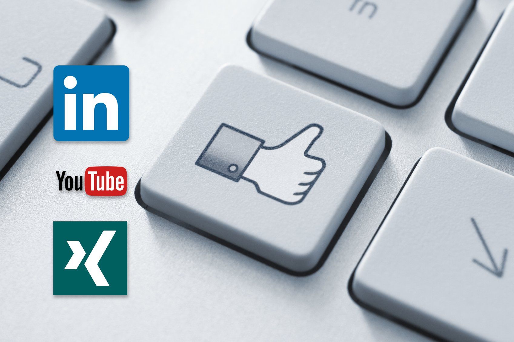 Stellenangebote der HECKLER GROUP